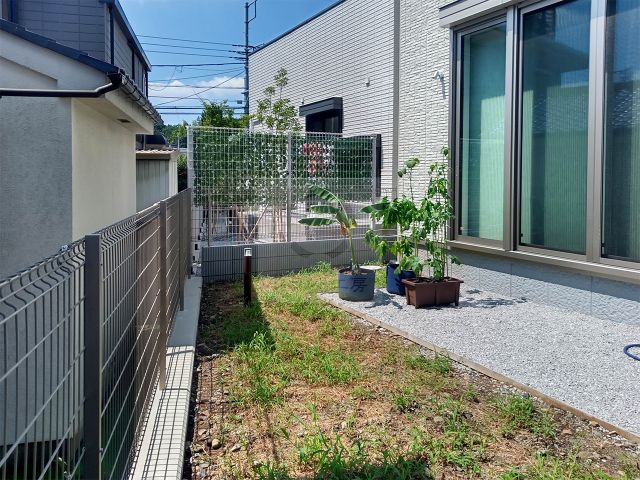 Before