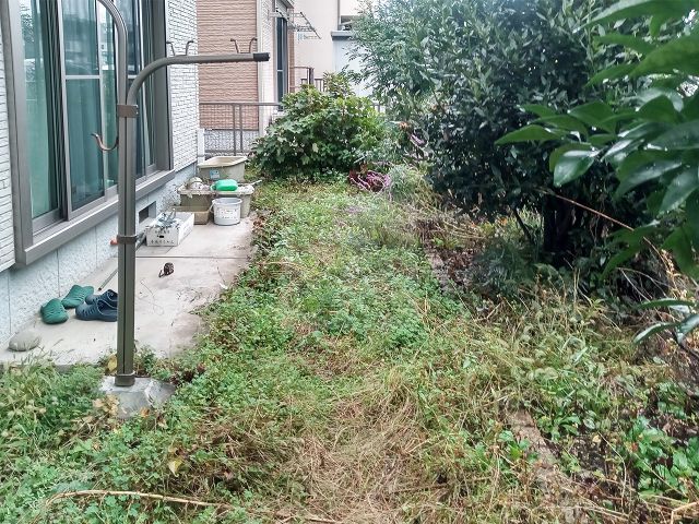 Before