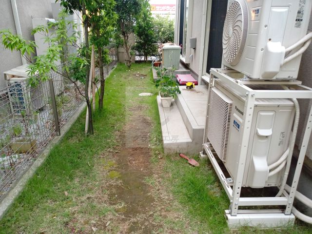 Before