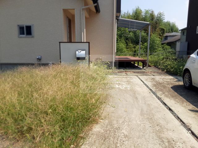 Before