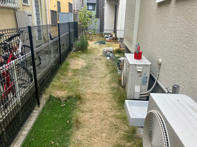 Before