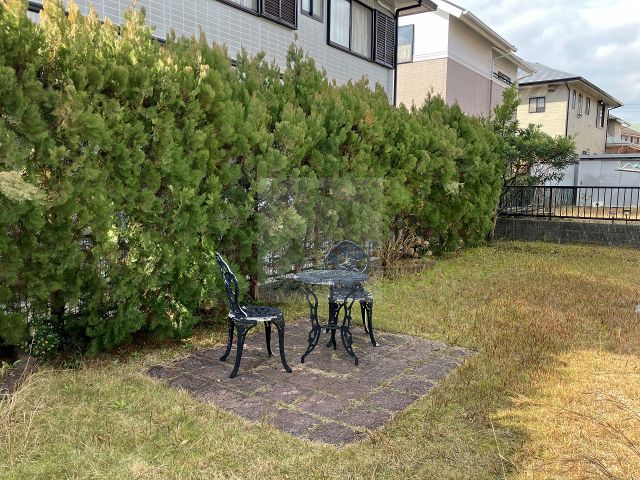 Before