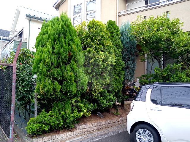 Before