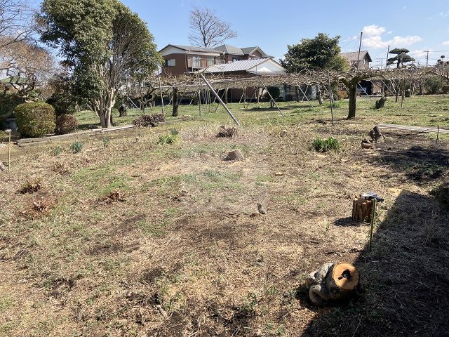 Before