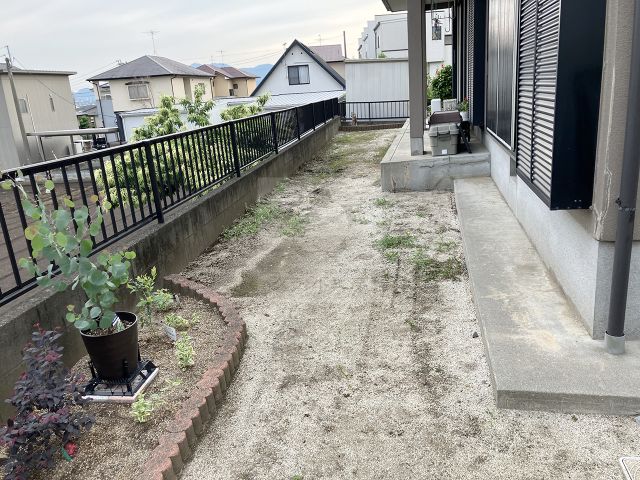 Before