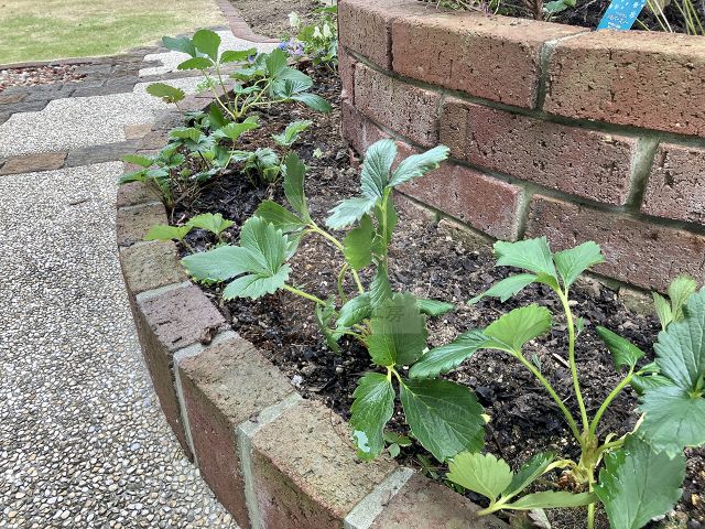 北九州市 ガーデン工事 K様邸