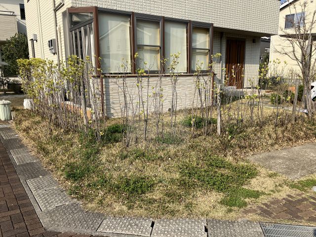 Before