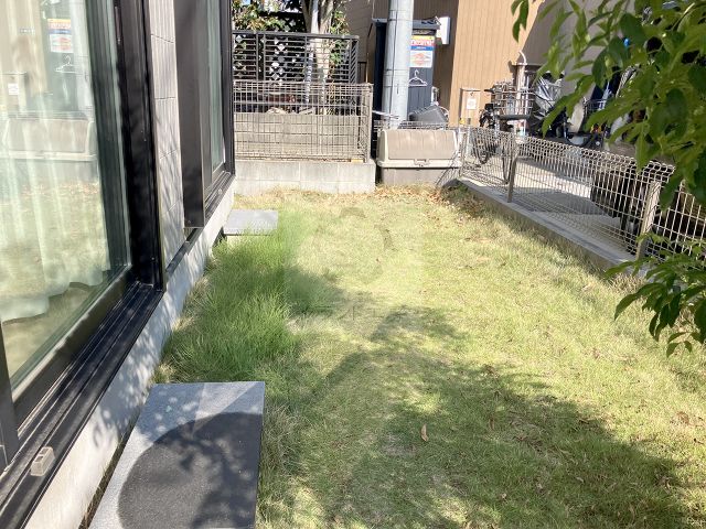 Before