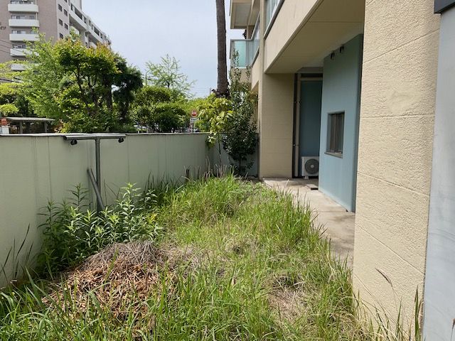 Before