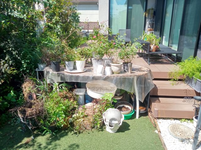 Before
