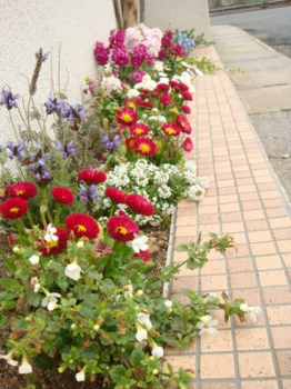 ��췴�����۳�������