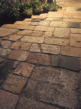 �����ԡ����ގ��Îގݹ���