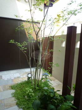 ��ʬ�ԡ����۳�������