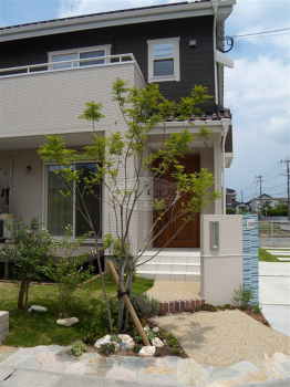 ��ʬ�ԡ����۳�������