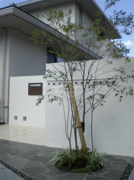 �ŵ׸��ԡ����۳�������