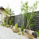 �ȼ귴�������ǥ󹩻�