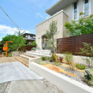 ��α�ƻԡ�������������