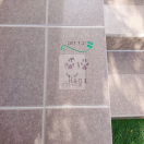 �����ԡ������ǥ�롼�๩��