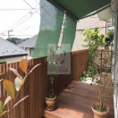 �ݻΥ�ë�衡���åɥǥå�����