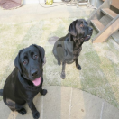 ���ܻ���衡��ե����๩��