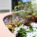 ���ػԡ������ǥ󹩻�