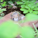 ��α�ƻԡ������ǥ󹩻�