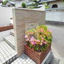 ���ͻԡ�������������