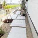 ���ӻԡ����۳�������