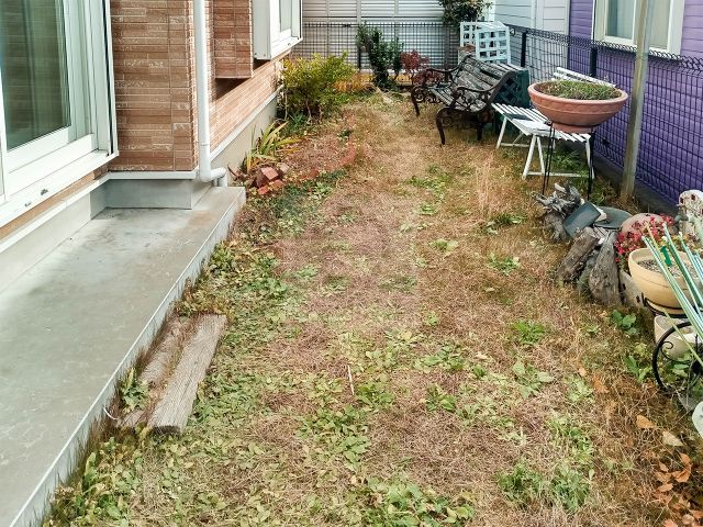 Before