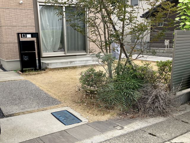 Before