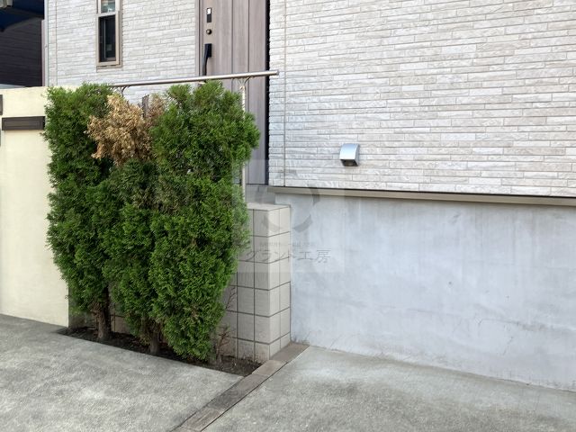Before