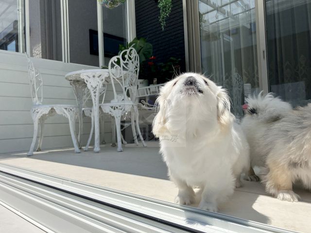 ʡ���� �����ǥ󹩻� T��š