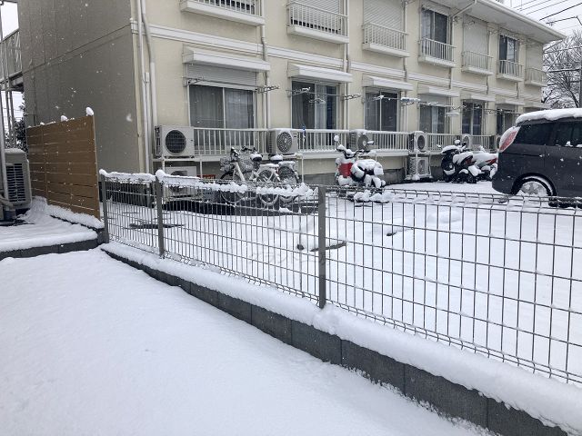 ƣ���ԡ��������� T��š