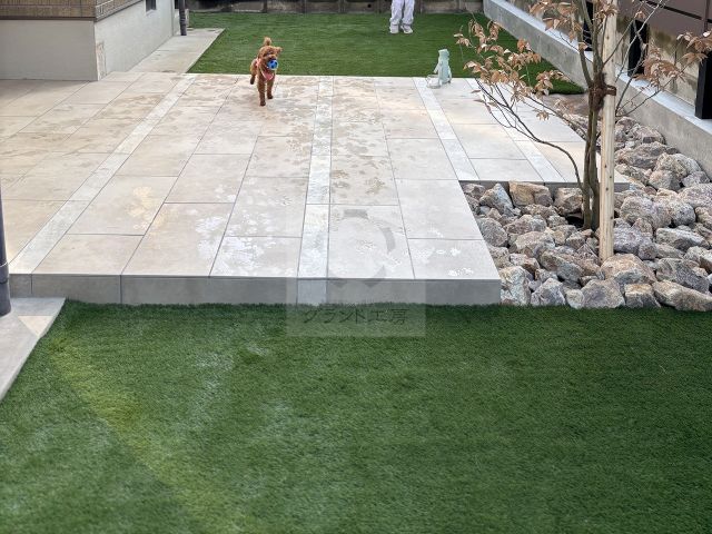 ���ܻԡ������ǥ󹩻� Y��š