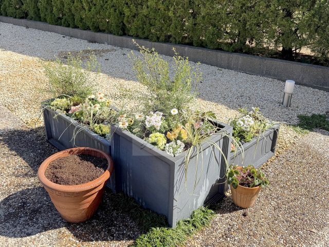 �̶彣�ԡ������ǥ󹩻� K��š