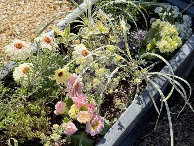 �̶彣�ԡ������ǥ󹩻� K��š