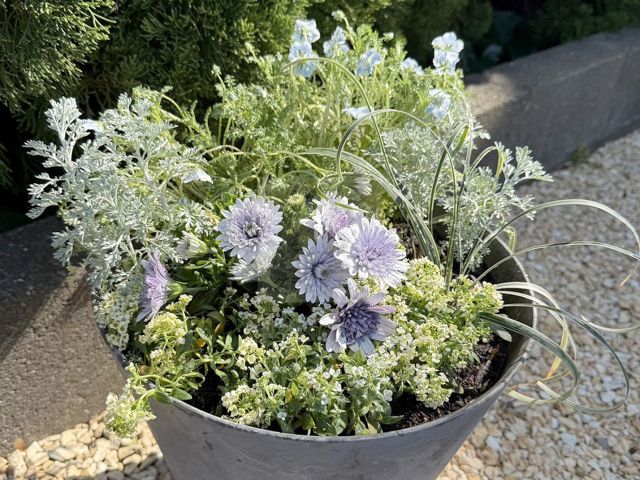 �̶彣�ԡ������ǥ󹩻� K��š