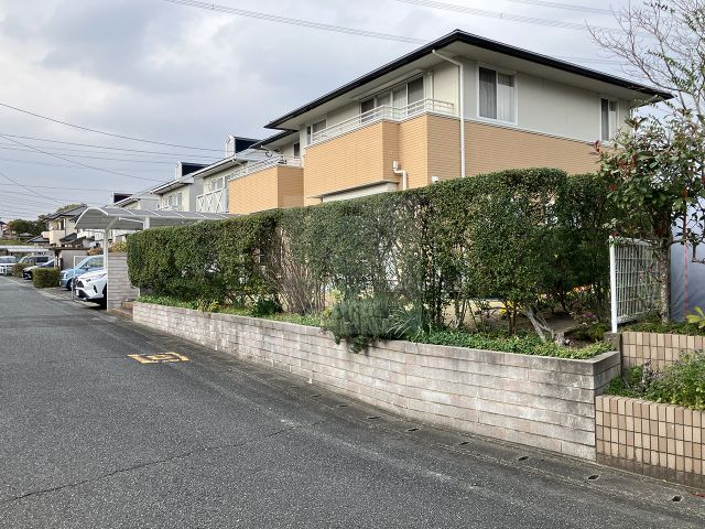 Before