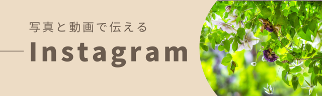 Instagram ɹ˼