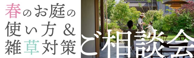 �դΤ����̲�