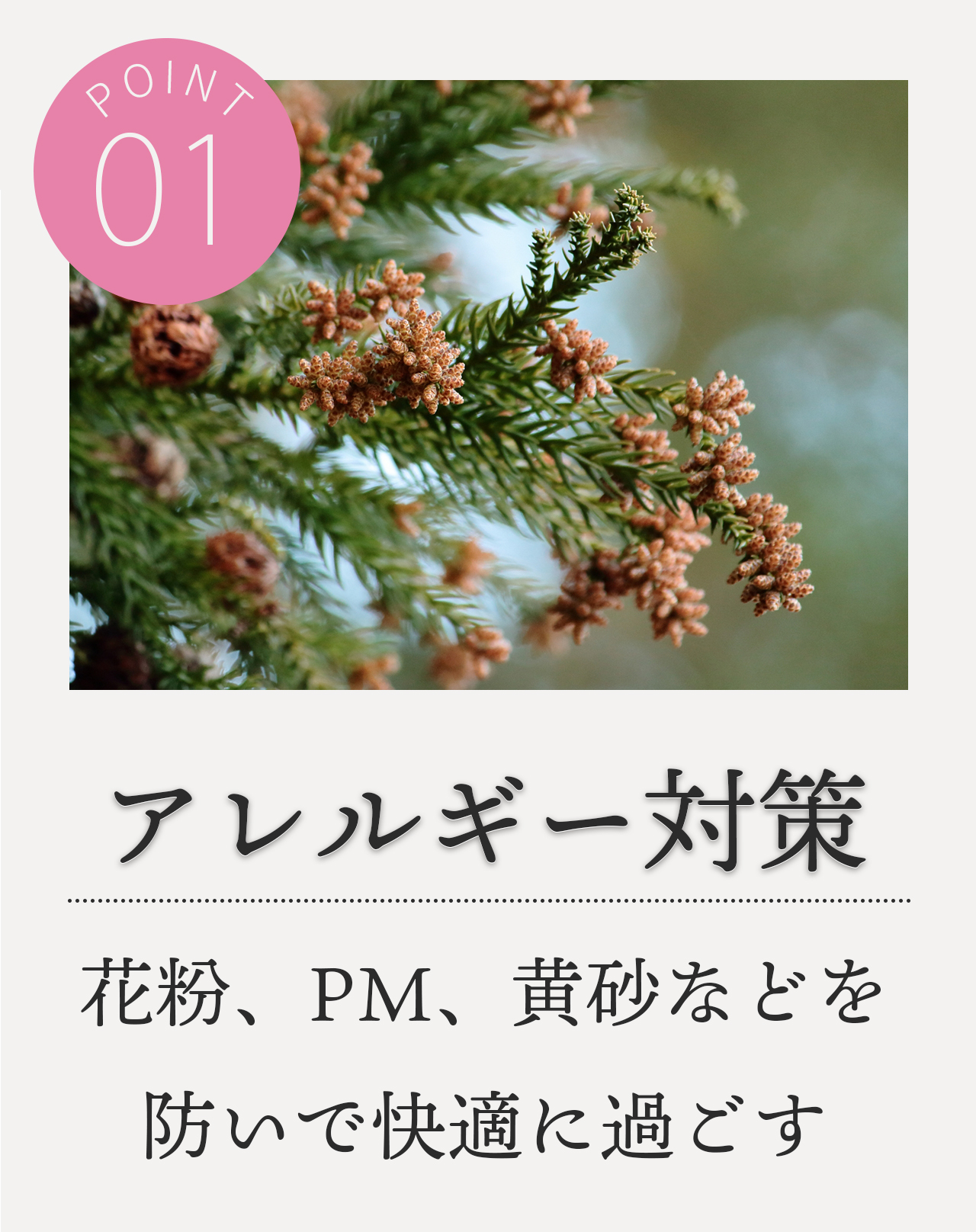 POINT1 アレルギー対策 花粉・PM・黄砂などを防いで快適に過ごす