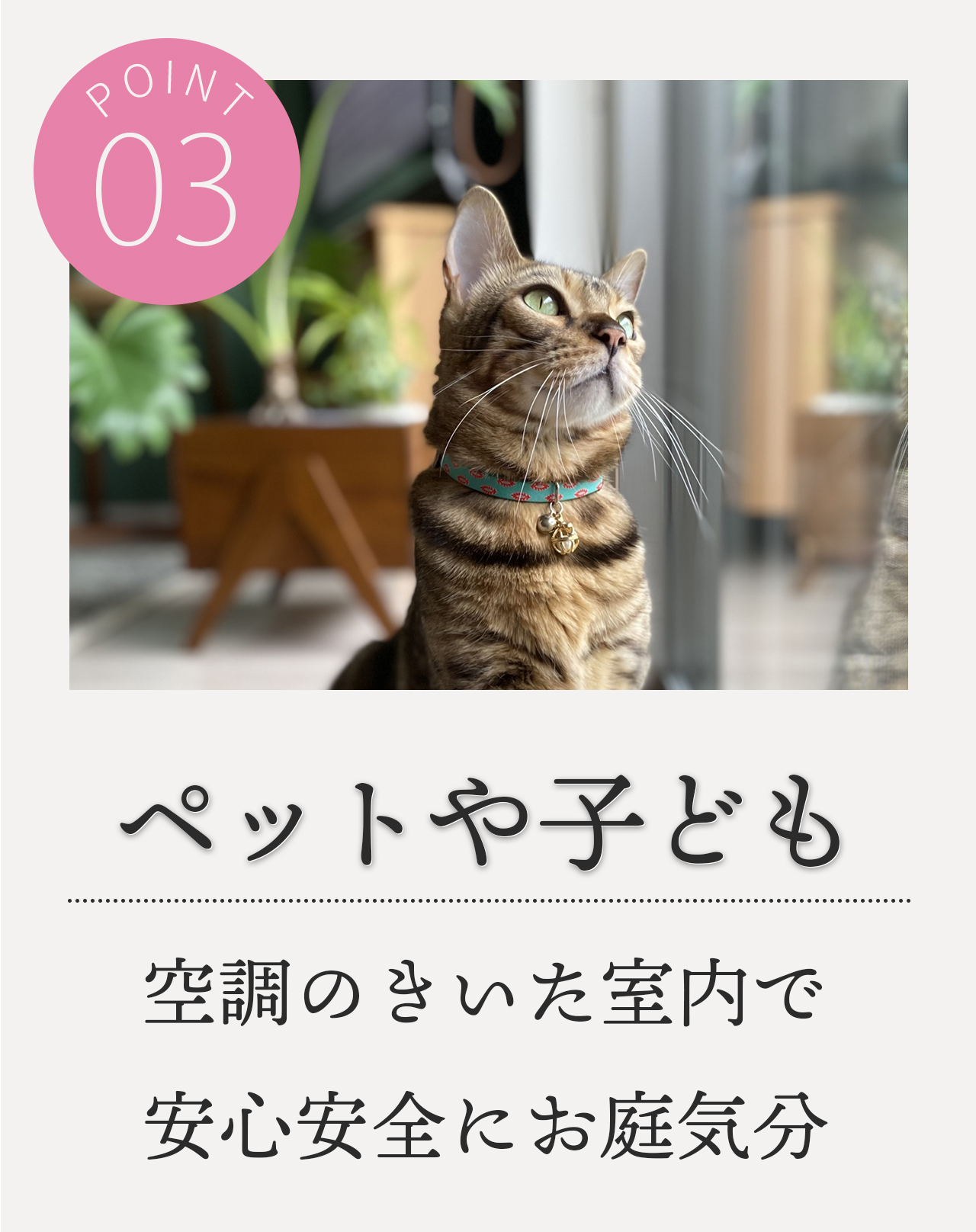 POINT3 ペットや子ども 空調のきいた室内で安心安全にお庭気分