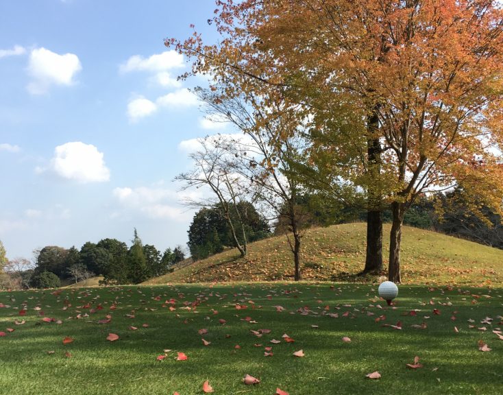 初めての芝生もこれで安心 芝生管理の年間スケジュール Gardenjournal