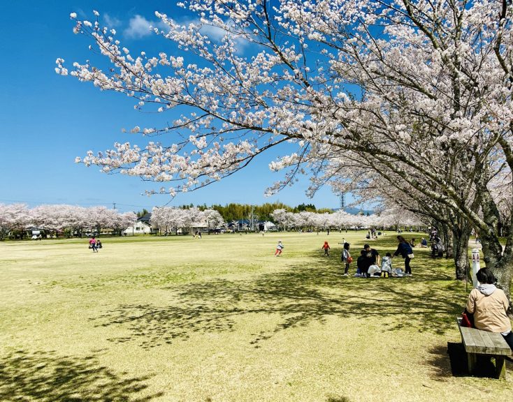 初めての芝生もこれで安心 芝生管理の年間スケジュール Gardenjournal