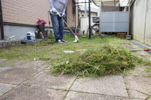 お庭の大掃除