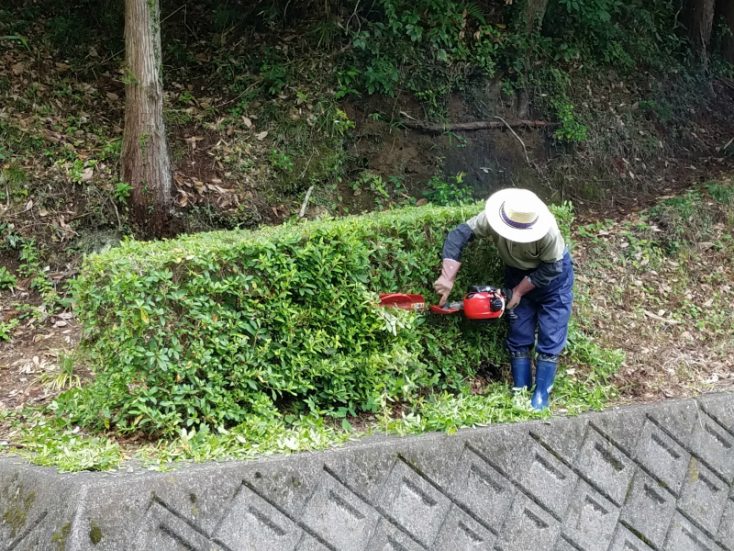 雑草を抜く 庭木の剪定