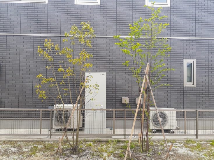 室内からの眺めを考慮した活用できるテラス空間