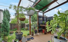 春爛漫！ハンギングで植物を楽しもう