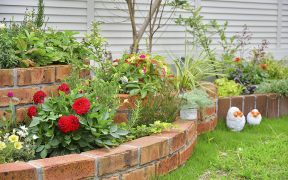 植物と一緒に暮らそう！おすすめの植え場所