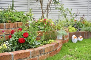 植物と一緒に暮らそう！おすすめの植え場所